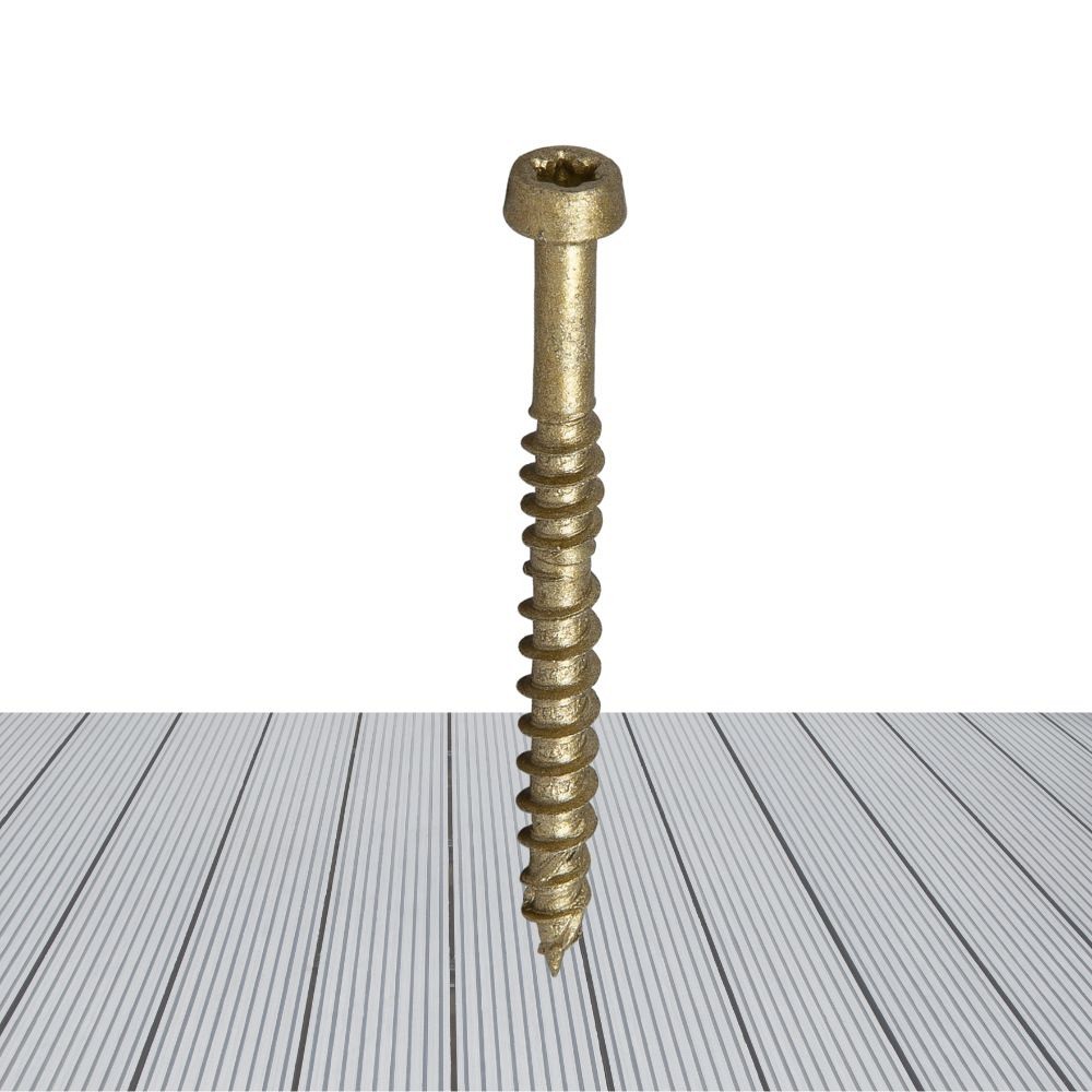 Wood screw for THERASE - cylindrical head CORRSEAL